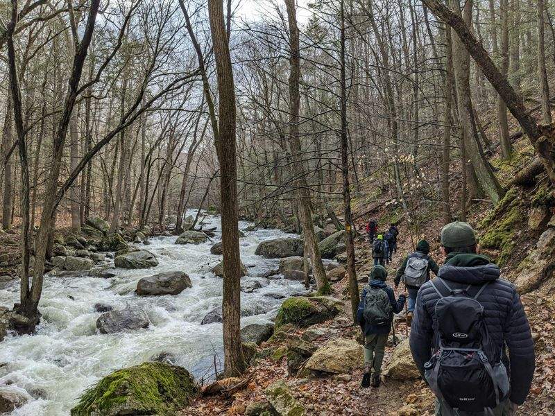 Why Guided Hikes Are a Great Way to Explore New Trails