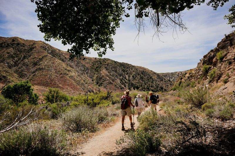 Harbour Peak Hiking Co. 7