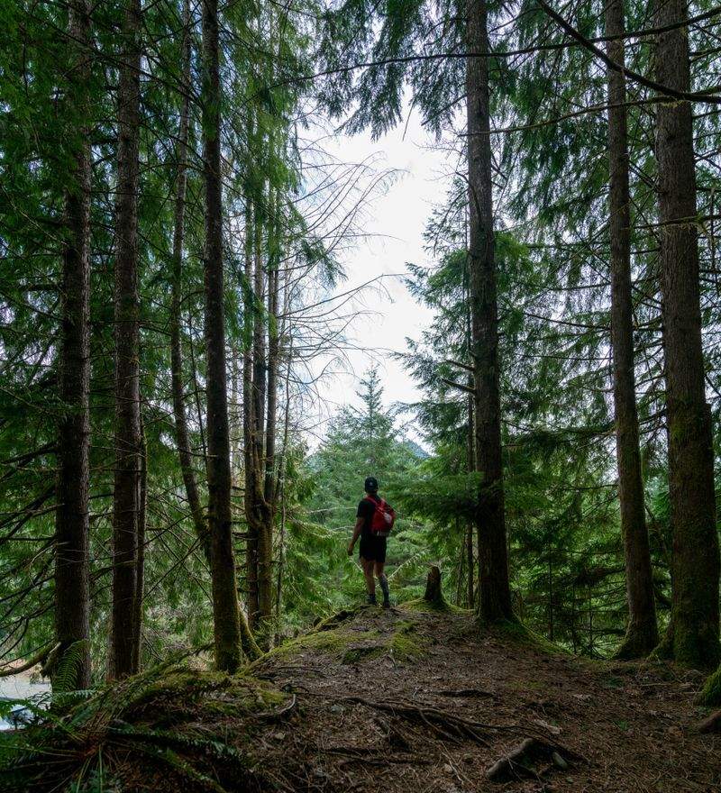 Custom trail planning and route consultation